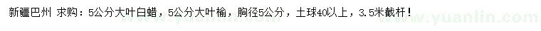 求购胸径5公分大叶白蜡、大叶榆