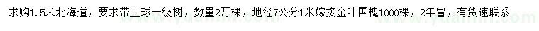 求购1.5米北海道、地径7公分金叶国槐
