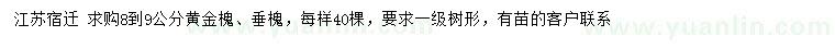 求购8-9公分黄金槐、垂槐