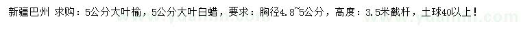 求购胸径5公分大叶榆、大叶白蜡