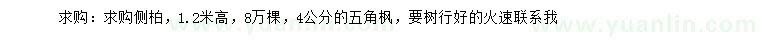 求购高1.2米侧柏、4公分五角枫
