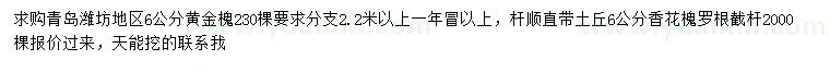 求购6公分黄金槐、香花槐