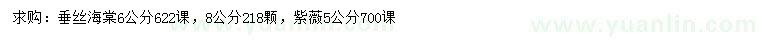 求购6、8公分垂丝海棠、5公分紫薇