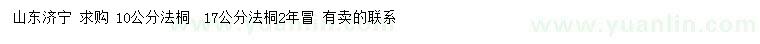 求购10、17公分法桐