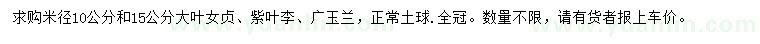 求购大叶女贞、紫叶李、广玉兰