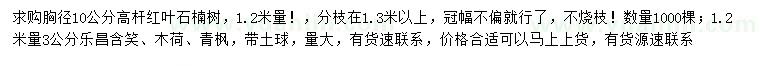 求购红叶石楠、乐昌含笑、木荷等