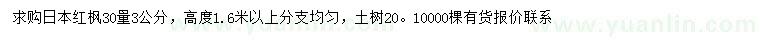 求购30量3公分日本红枫