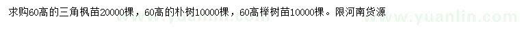 求购三角枫小苗、朴树小苗、榉树小苗