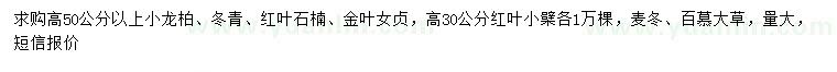 求购小龙柏、冬青、红叶石楠等