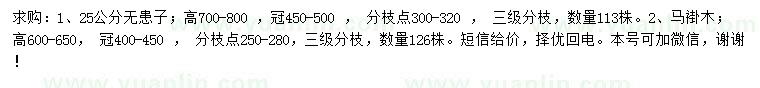 求购25公分无患子、20公分马褂木