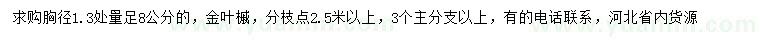 求购1.3米量足8公分金叶槭