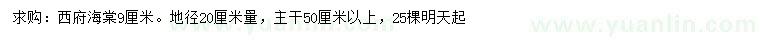 求购地径20公分量9公分西府海棠