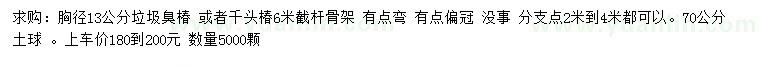 求购胸径13公分垃圾臭椿、千头椿