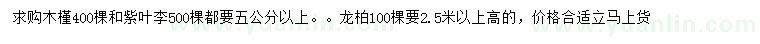 求购木槿、紫叶李、龙柏