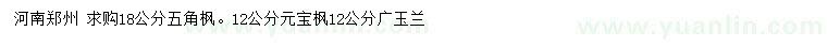 求购五角枫、元宝枫、广玉兰