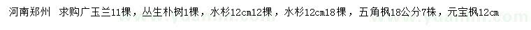 求购广玉兰、丛生朴树、水杉等