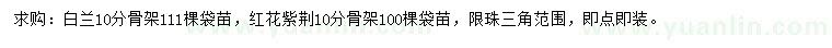 求购10公分白兰、红花紫荆