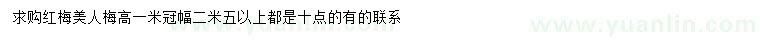 求购高1米红梅、美人梅