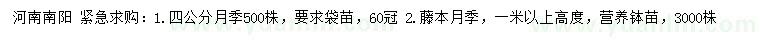 求购4公分月季、高1米以上藤本月季