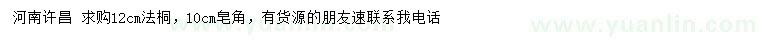 求购12公分法桐、10公分皂角