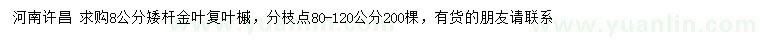 求购8公分矮杆金叶复叶槭