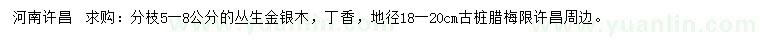 求购丛生金银木、丁香、古桩腊梅