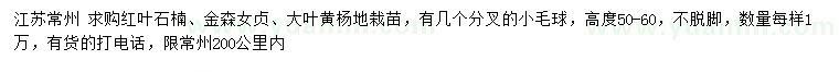 求购红叶石楠、金森女贞、大叶黄杨