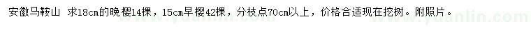 求购18公分晚樱、15公分早樱