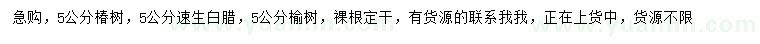 求购椿树、速生白蜡、榆树