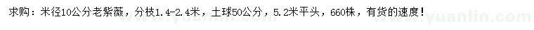 求购米径10公分老紫薇
