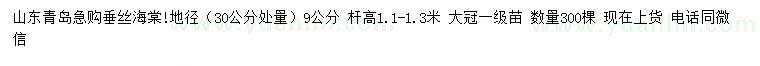 求购30公分处量地径9公分垂丝海棠