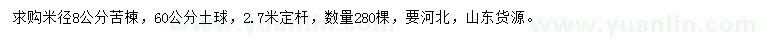 求购米径8公分苦楝