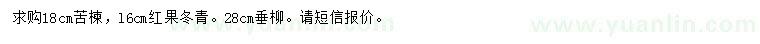 求购苦楝、红果冬青、垂柳