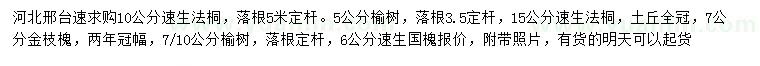 求购速生法桐、榆树、金枝槐等