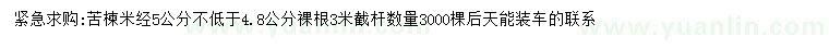 求购米径8公分苦楝