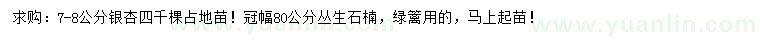 求购7-8公分银杏、冠幅80公分丛生石楠