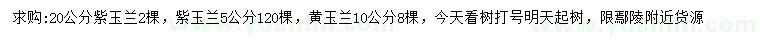 求购5、20公分紫玉兰、10公分黄玉兰
