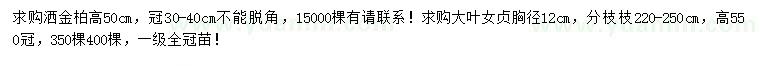求购高50公分洒金柏、胸径12公分大叶女贞