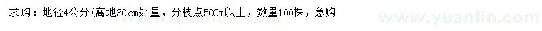 求购30公分量地径4公分日本红枫