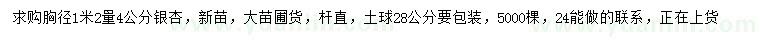 求购胸径1.2米量4公分银杏