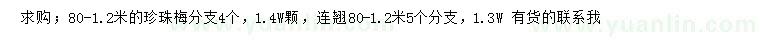 求购80-120公分珍珠梅、连翘