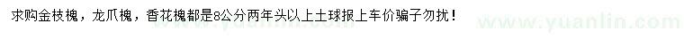 求购金枝槐、龙抓槐、香花槐