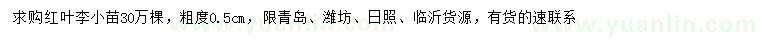 求购0.5公分红叶李