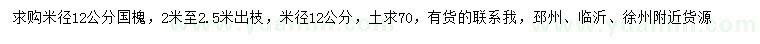 求购米径12公分国槐