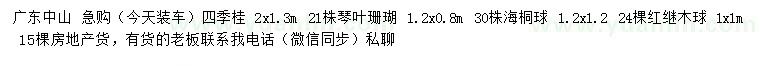 求购四季桂、琴叶珊瑚、海桐球等