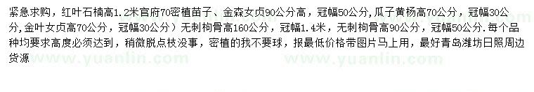 求购红叶石楠、金森女贞、瓜子黄杨等