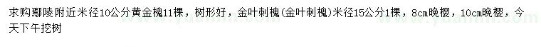 求购黄金槐、金叶刺槐、晚樱