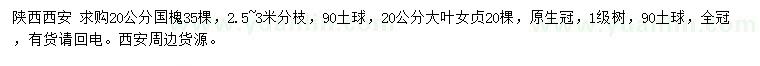 求购20公分国槐、大叶女贞