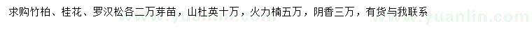 求购竹柏、桂花、罗汉松等