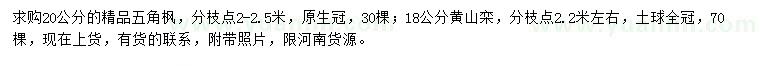 求购20公分五角枫、18公分黄山栾